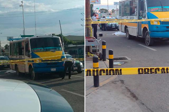 Ruta Galgos del sur atropella y mata a mujer en Puebla